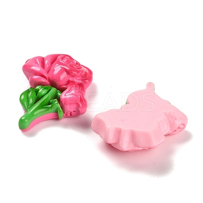 Resin Cabochons CRES-S369-02-1