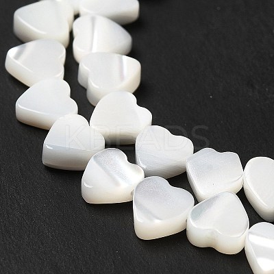 Natural Trochid Shell/Trochus Shell Beads Strands BSHE-E026-19-1