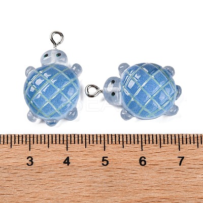 Gradient Color & Luminous Opaque Resin Pendants LS-RESI-S011-01A-1