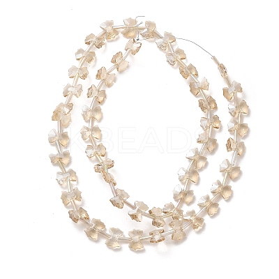 Electroplate Glass Beads EGLA-F163-01-PL04-1