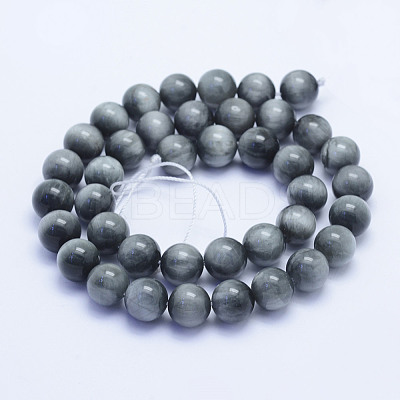 Natural Hawk's Eye Beads Strands G-L478-03-10mm-1
