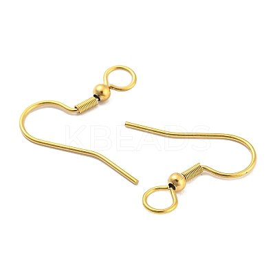 304 Stainless Steel Earring Hooks LS-X-STAS-B047-30G-1