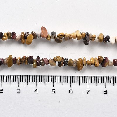 Natural Supper 7 Rutilated Quartz Chip Beaded Necklaces for Men Women NJEW-G159-01K-1