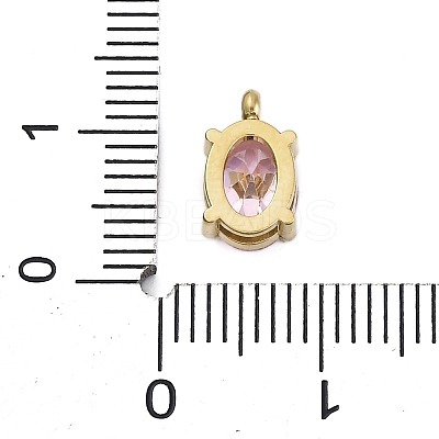 304 Stainless Steel Micro Pave Cubic Zirconia Charms STAS-L022-160G-A01-1