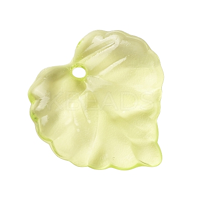 Transparent Acrylic Pendants DBLA410-9-1