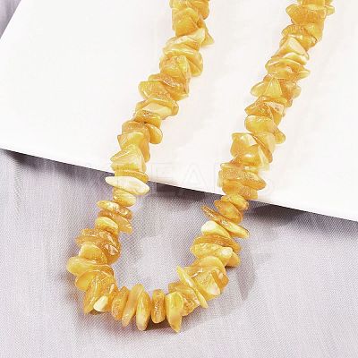 Natural Amber Chip Beaded Necklaces NJEW-L466-03C-1