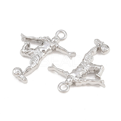 Alloy Pendants PALLOY-T096-07P-1