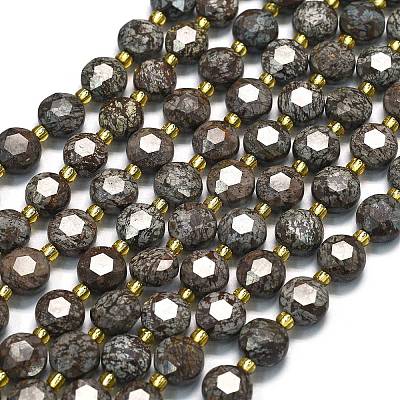 Natural Red Snowflake Obsidian Beads Strands G-C116-A11-02-1