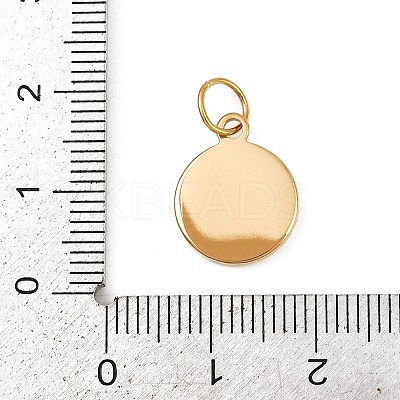 304 Stainless Steel Charms LS-STAS-K307-12A-G-1
