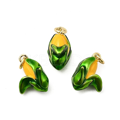 Brass Enamel Pendants KK-A268-26G-1