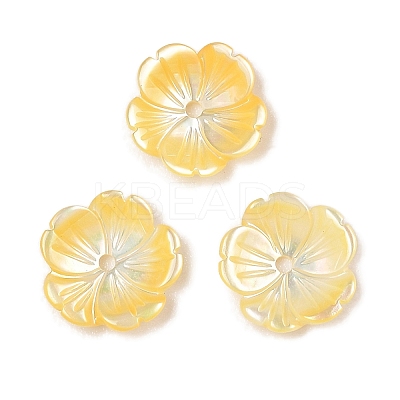 Natural Yellow Shell Carved Beads SSHEL-I026-12A-01-1