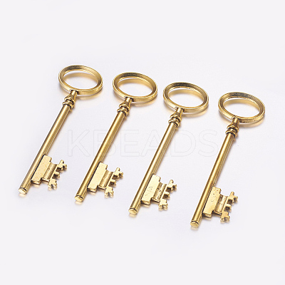 Tibetan Style Alloy Skeleton Key Large Pendants LS-TIBEP-S105-AG-RS-1