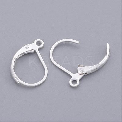 Brass Leverback Earring Findings EC223-S-1