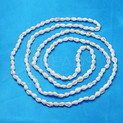 Natural Trumpet Shell Beads Strands X-S02KI011-1