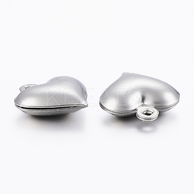 Tarnish Resistant 304 Stainless Steel Charms A-STAS-H413-16P-1