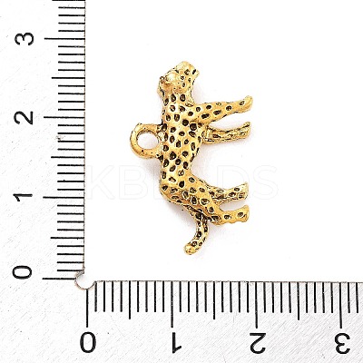 Tibetan Style Alloy Charms LS-X-FIND-G077-02AG-1