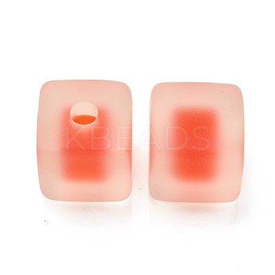 Frosted Acrylic European Large Hole Beads OACR-G012-14-1