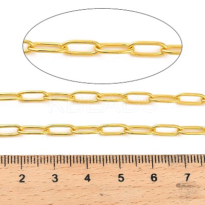 Stainless Steel Oval Paperclip Chains CHS-G040-01A-G-1