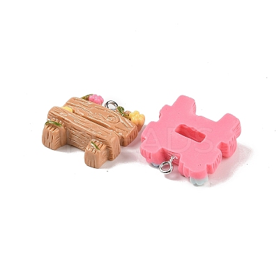 Opaque Resin Pendants MACR-P043-O01-1