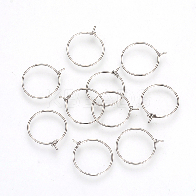 Non-Tarnish 304 Stainless Steel Hoop Earrings X-STAS-R071-41-1