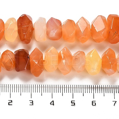 Natural Orange Botswana Agate Beads Strands G-N327-05-19-1