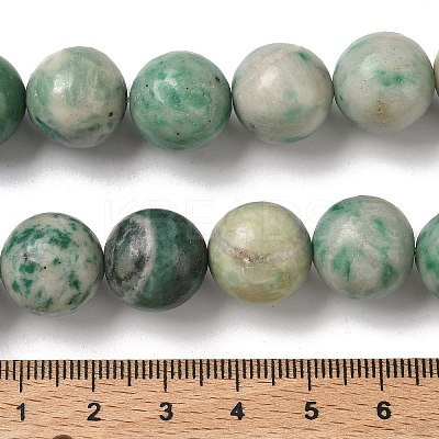 Natural Green Spot Jasper Beads Strands G-F818-A05-14mm-1