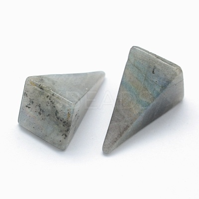 Natural Labradorite Beads G-E490-D04-1