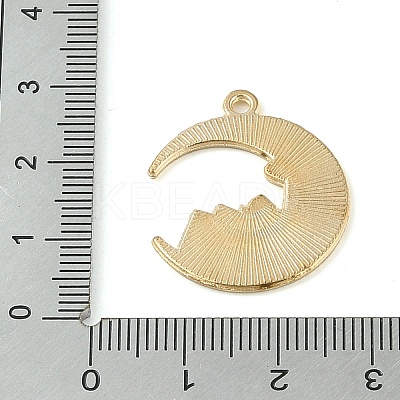 Tarot Style Alloy Eanaml Pendants PALLOY-S184-02G-B-1