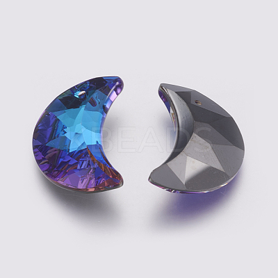 K9 Glass Rhinestone Pendants X-GLAA-K034-G04-1