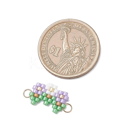 Glass Seed Beaded Connector Charms PALLOY-MZ01210-1