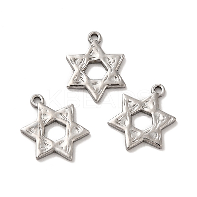 Non-Tarnish 304 Stainless Steel Pendants STAS-Q001-02P-1