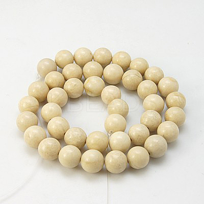 Natural Fossil Beads Strands X-G-E110-12mm-2-1