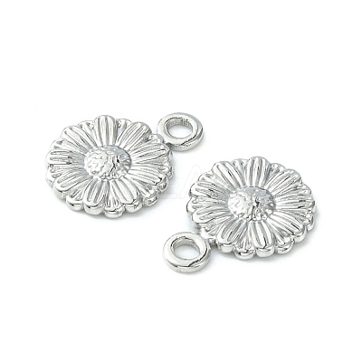 Non-Tarnish 304 Stainless Steel Charms STAS-L269-056P-1