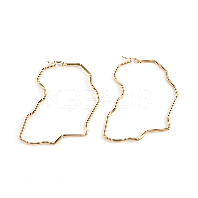 201 Stainless Steel Hoop Earrings LS-EJEW-L243-19A-G-1