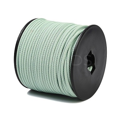 40M Nylon Coated 304 Stainless Steel Braided Wires TWIR-P002-01A-02-1