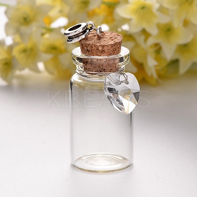 Antique Silver Plated Alloy Glass Bottle European Dangle Charms PALLOY-JF00084-1