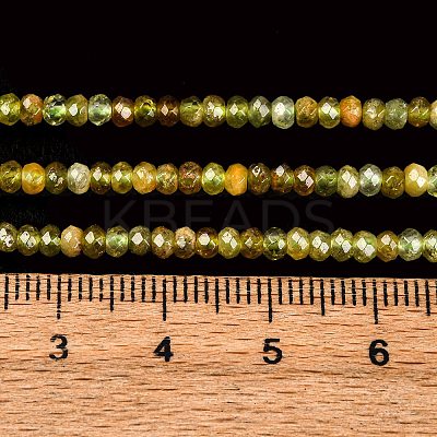 Faceted Rondelle Natural Green Garnet Beads Strands G-F289-40B-1