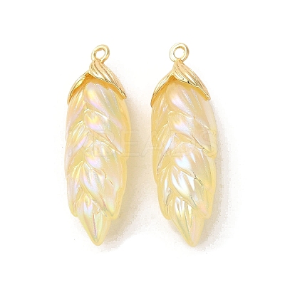 Rainbow Iridescent Plating Resin Pendants RESI-C047-03C-G-1
