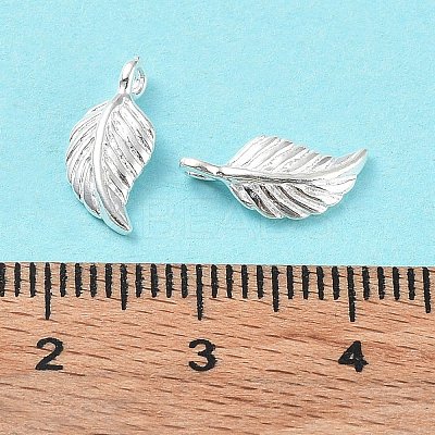 925 Sterling Silver Charms STER-E069-01S-1