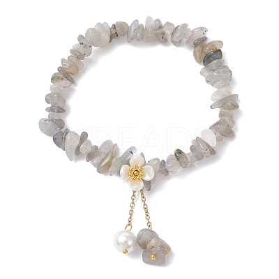 Natural Labradorite Chip Beaded Charm Bracelets BJEW-JB12312-03-1