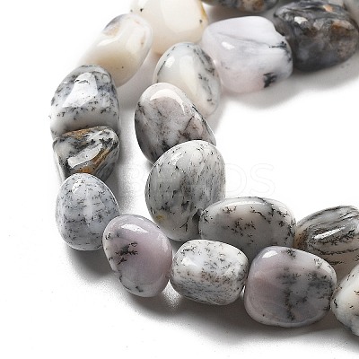 Natural White Opal Beads Strands G-C179-F02-01-1