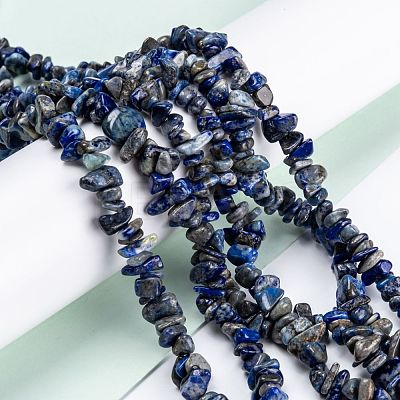 Natural Lapis Lazuli Beads Strands G-F703-05B-1