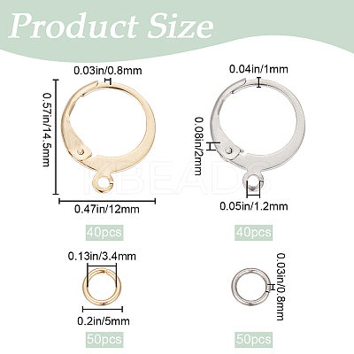 80Pcs 2 Color 304 Stainless Steel Leverback Earring Findings STAS-SP0001-17-1