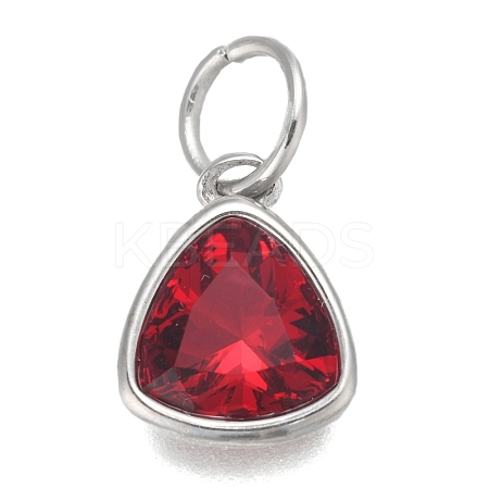 304 Stainless Steel Cubic Zirconia Pendant ZIRC-P080-B07-1