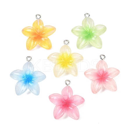 Transparent Resin Pendants RESI-P048-01P-1