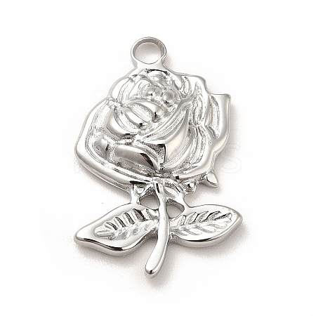 Non-Tarnish 304 Stainless Steel Pendants LS-STAS-H172-04P-1