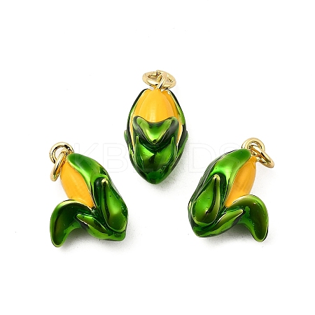 Brass Enamel Pendants KK-A268-26G-1
