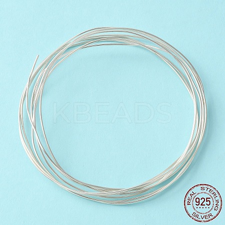 Dead Soft 925 Sterling Silver Wire STER-NH005-A-01-1