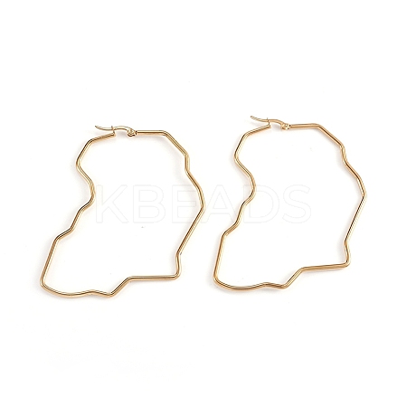 201 Stainless Steel Hoop Earrings LS-EJEW-L243-19A-G-1