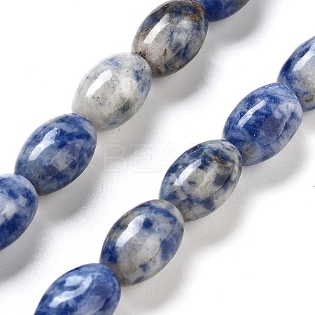 Natural Blue Spot Jasper Beads Strands G-B106-B29-01-1
